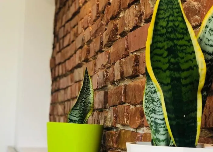 Sela Rent- & Optional Car Hire Locanda